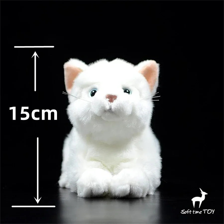 White Cat Persian Plush