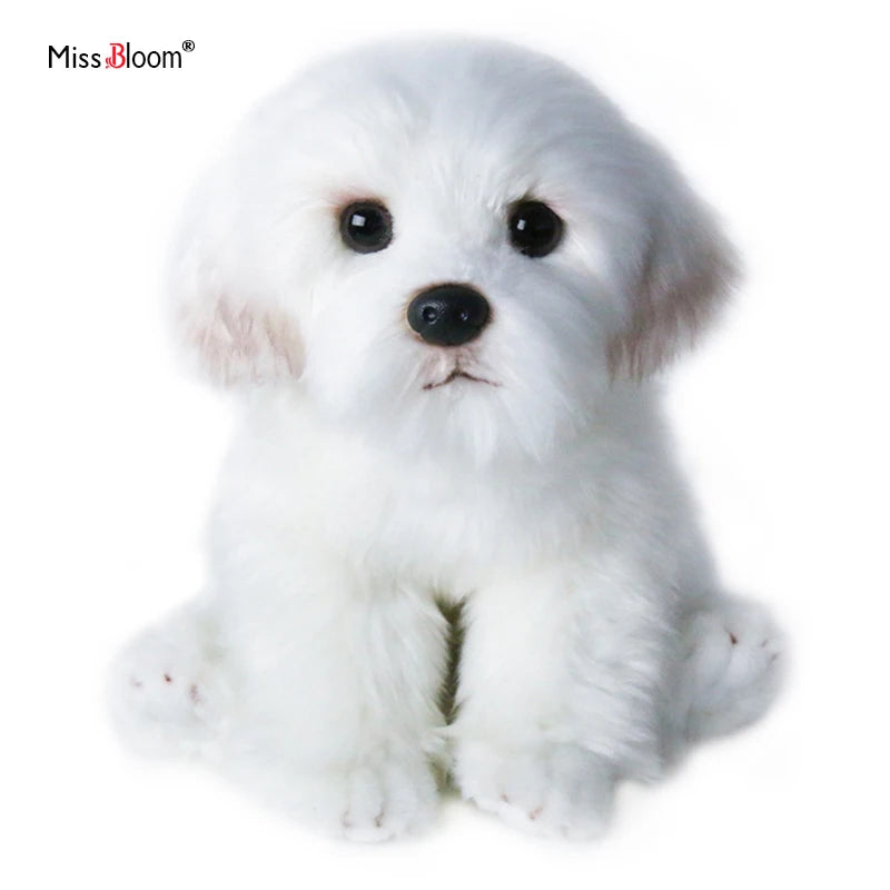 Maltese Stuffed Plush Toy Cute Simulation Pets