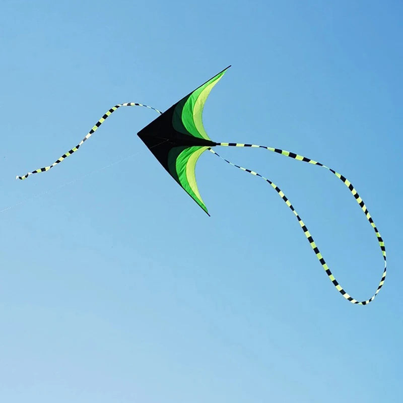 Large Delta Kite – Easy-Fly Outdoor Kite with 5m Tail for Kids & Adults