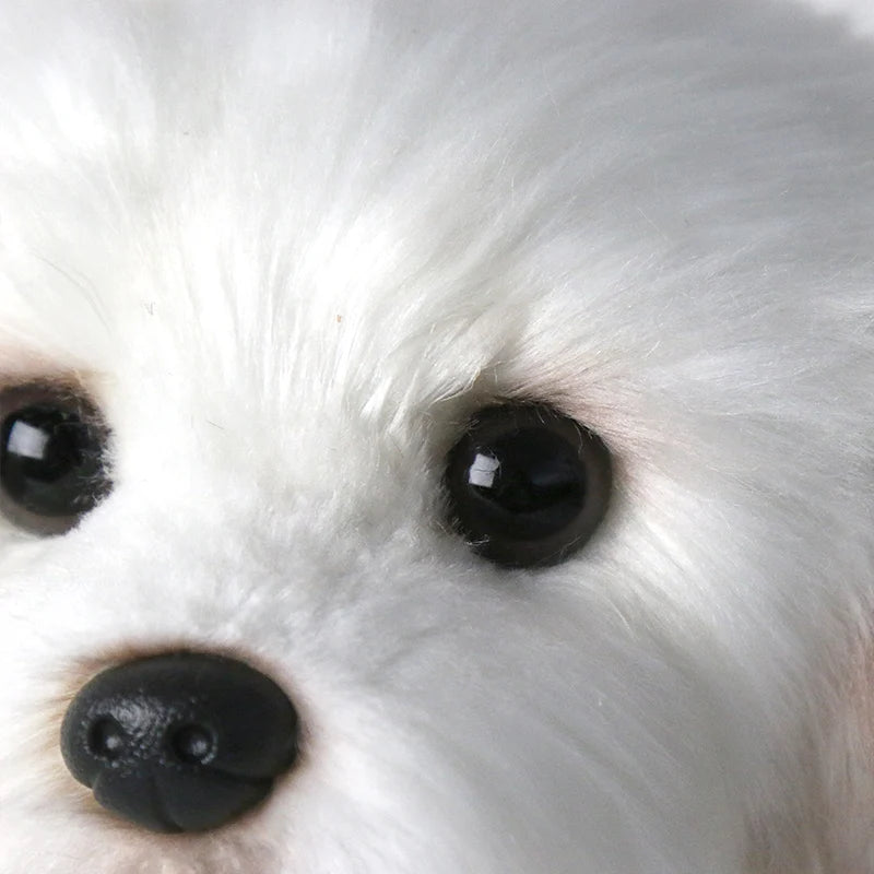 Maltese Stuffed Plush Toy Cute Simulation Pets