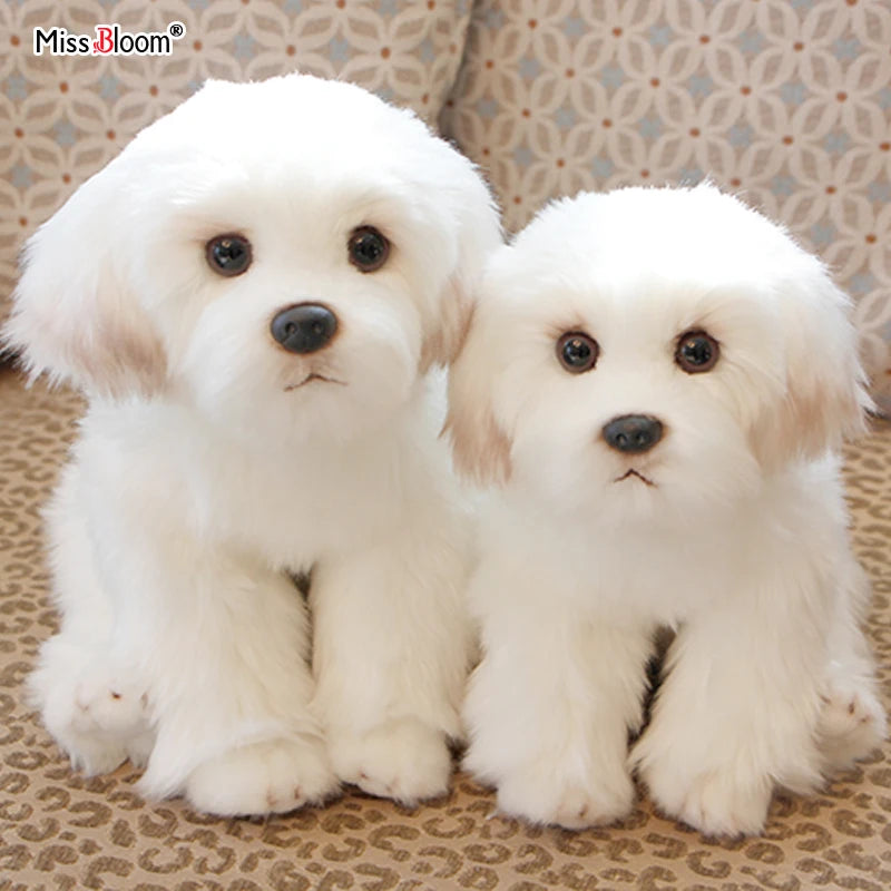 Maltese Stuffed Plush Toy Cute Simulation Pets
