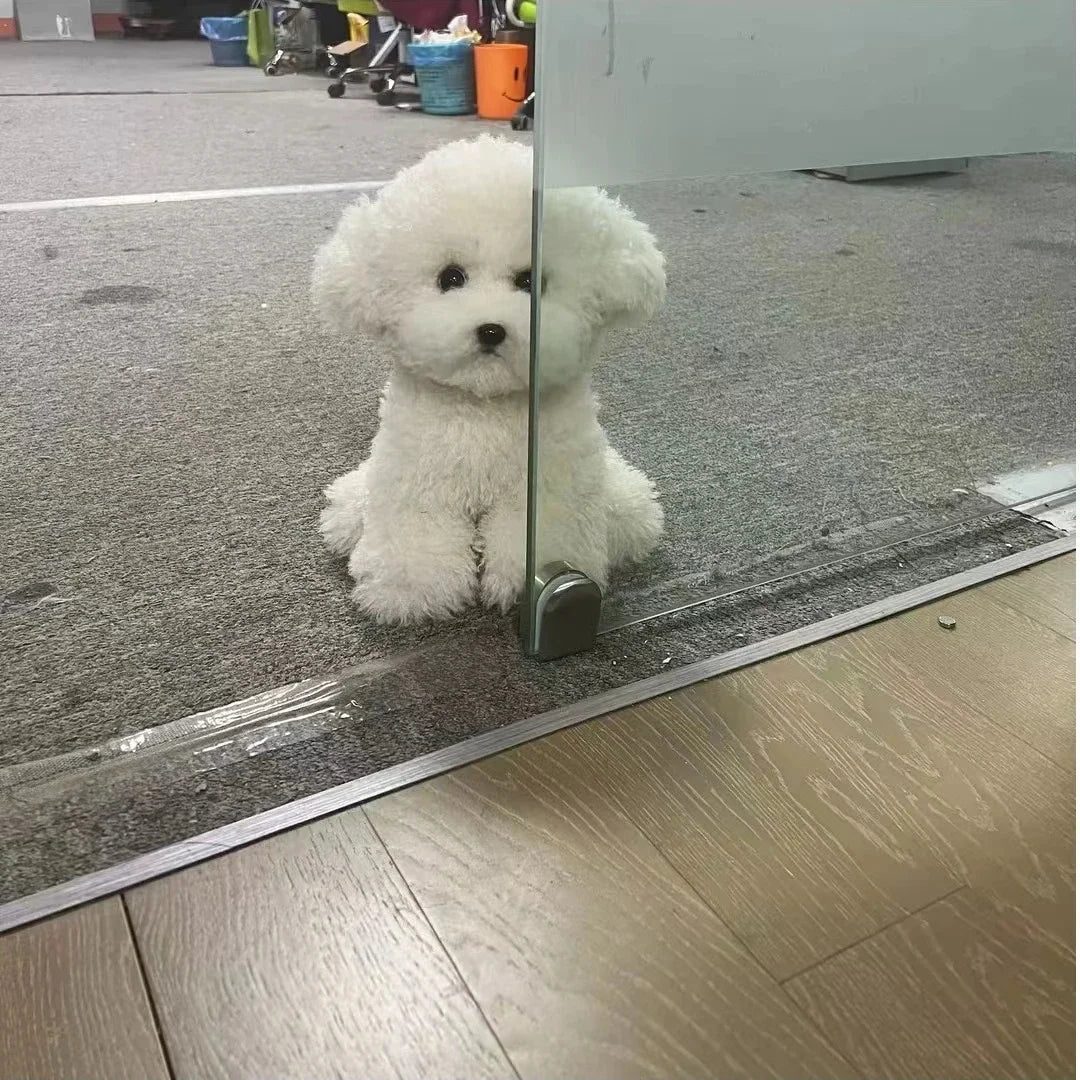 Curly Dog Plush, Toys Cute High Quality